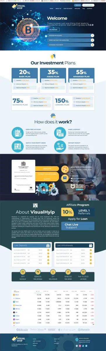 HYIP zvpt Investment Template 1495 Design