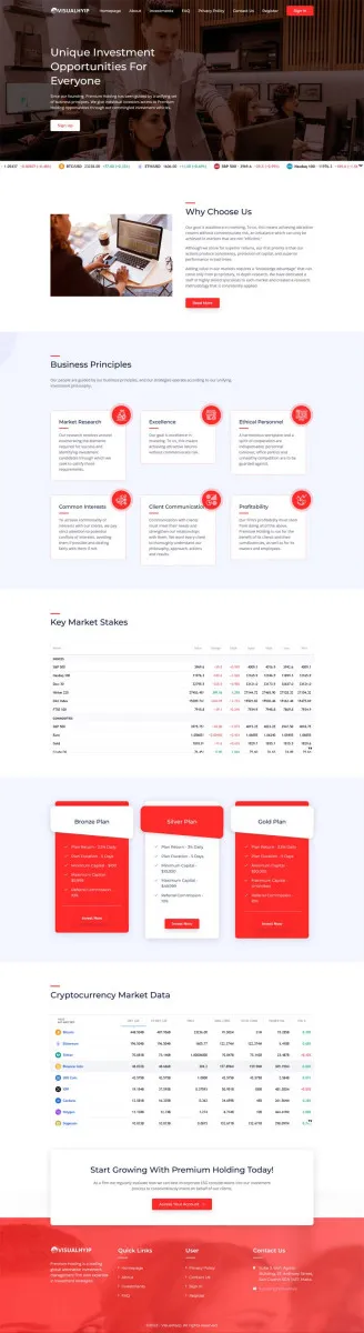 HYIP zvpt Investment Template 1502 Design