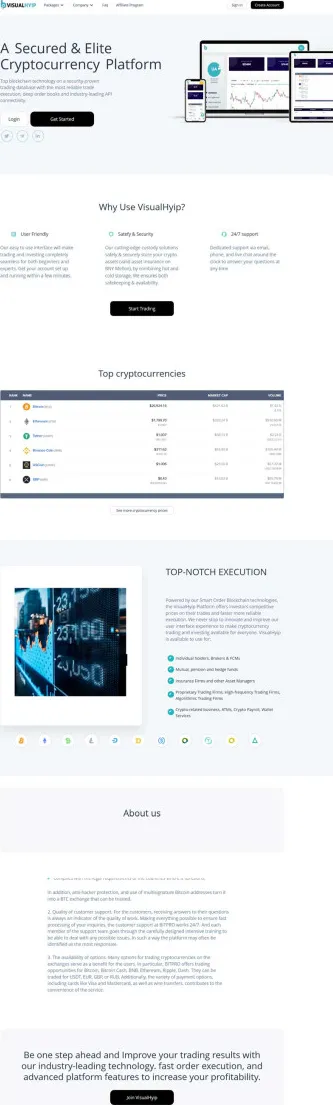HYIP zvpt Investment Template 1520 Design