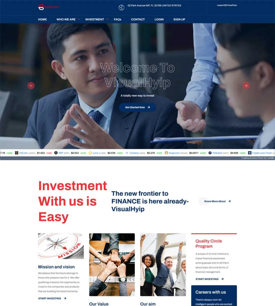 Investment Template 2 Page