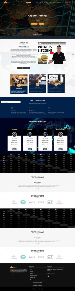HYIP zvpt Investment Template 1549 Design