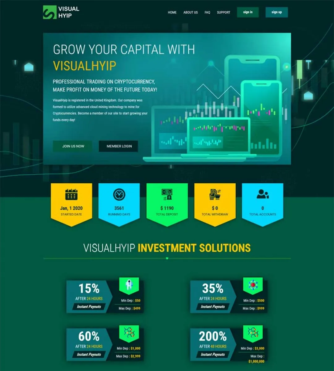 Investment Template 2 Page