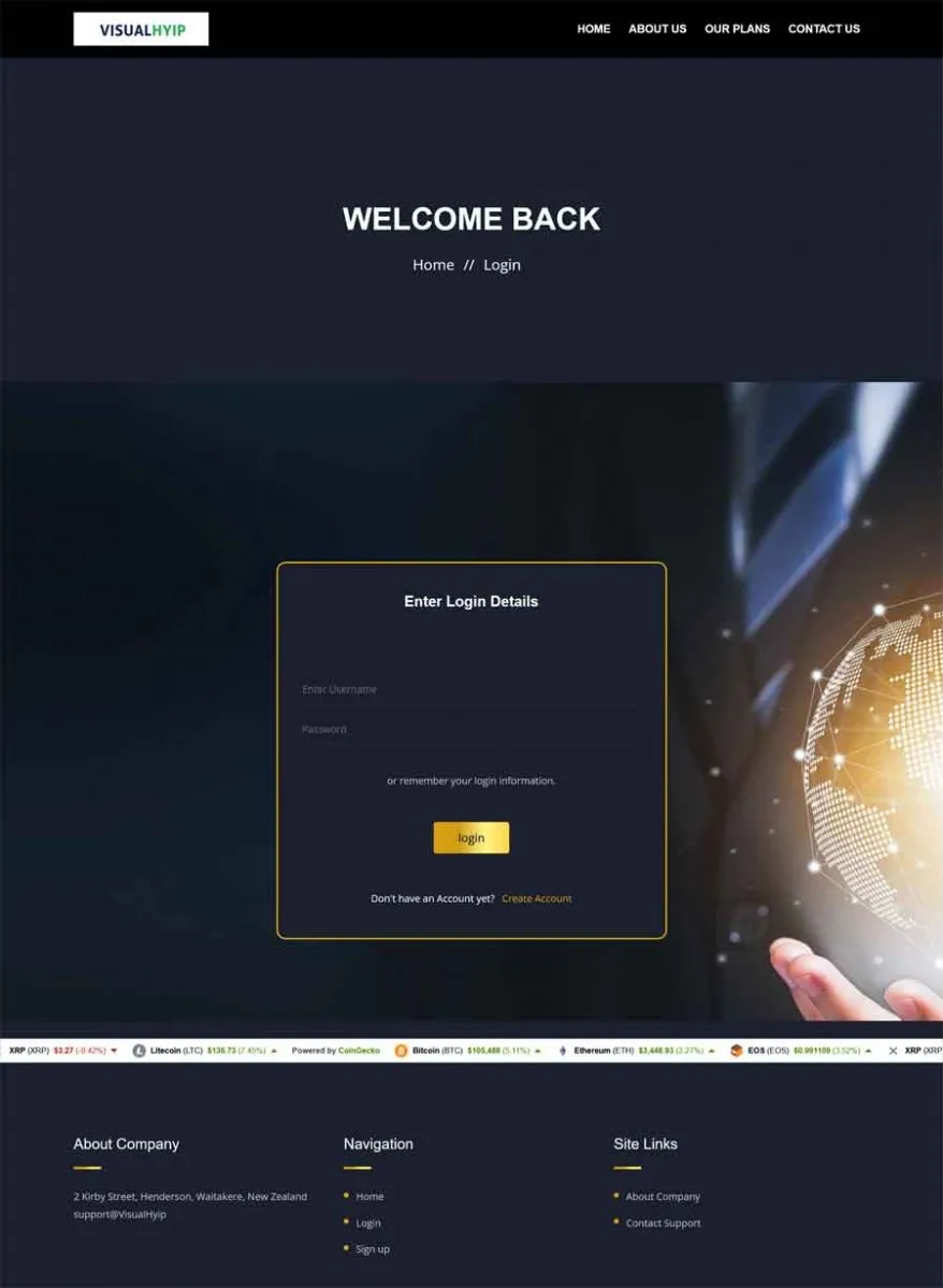 Investment Template 3 Page