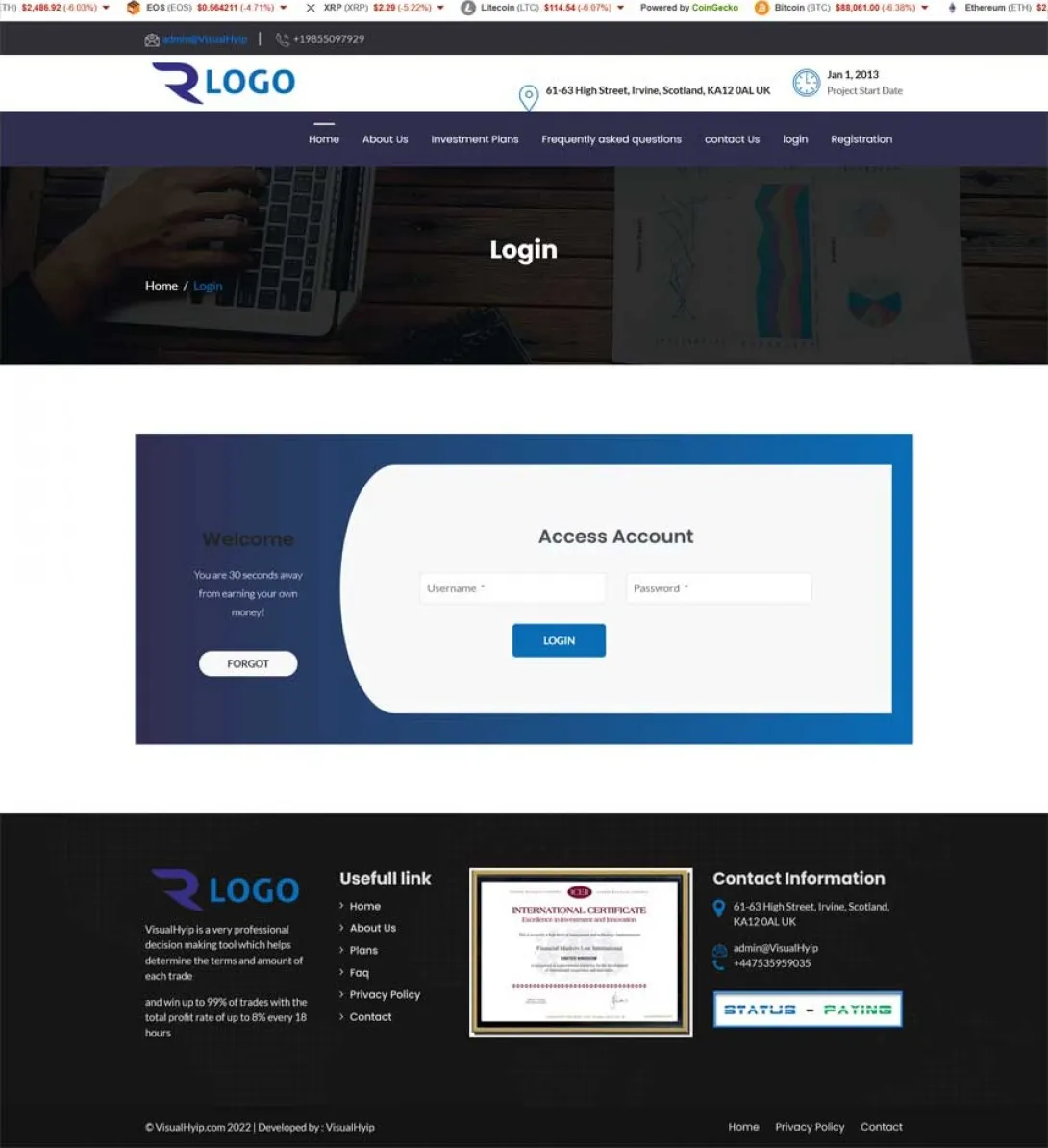Investment Template 3 Page